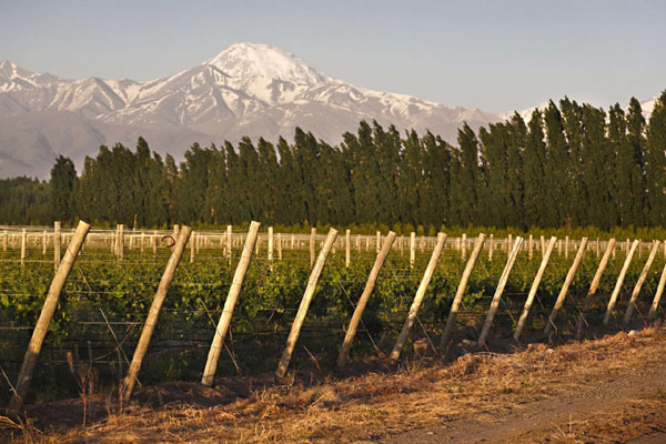 10 things you should know about Malbec