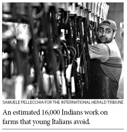 In Italy's heartland, Indian immigrants work the farms