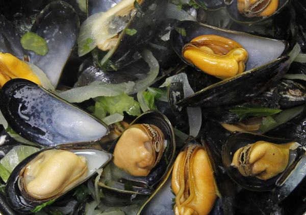 Belgian mussels