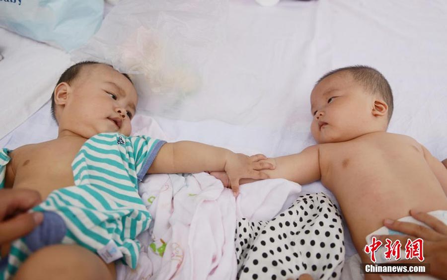 Babies in swimming contest