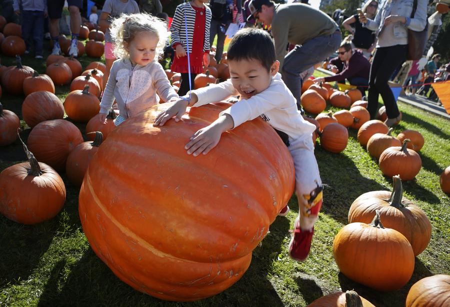 Pumpkin Festival celebrated in Vancouver, Canada