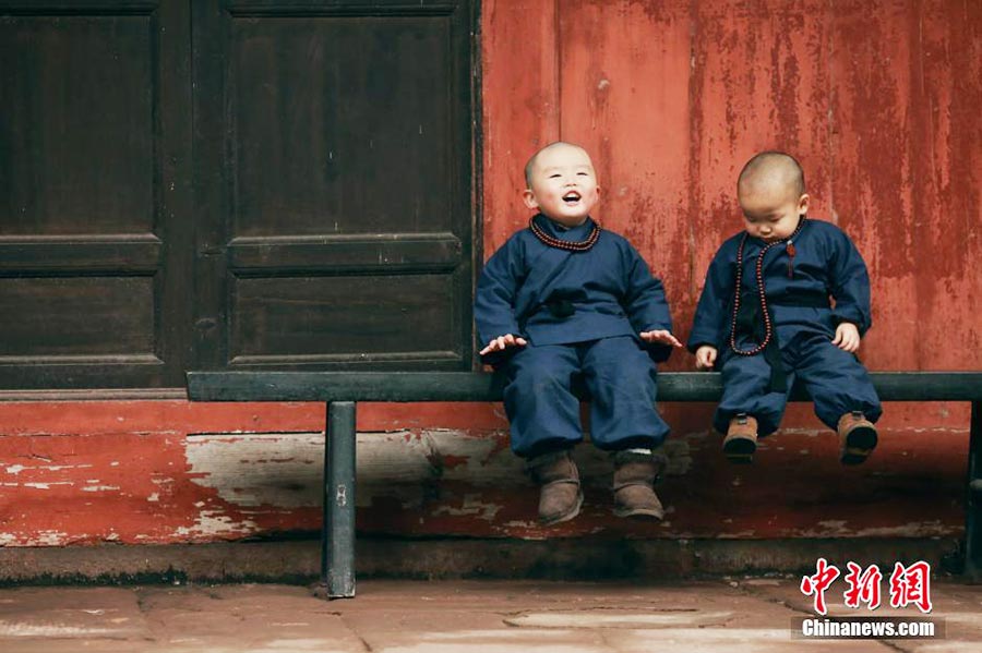 Adorable 'little monks' go viral online