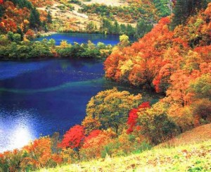 Top 10 destinations for Americans