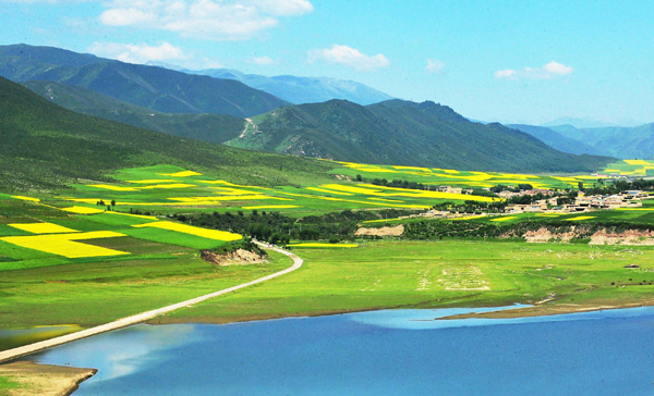 Summer views of Qinghai
