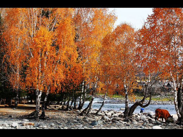 Amazing Hemu Village, Xinjiang