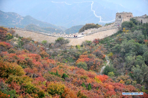 Great Wall surrounded by red leaves
