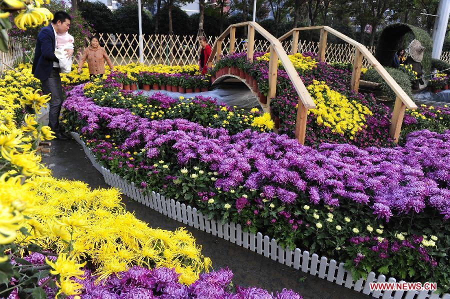 Wuhan Chrysanthemum Exhibition attracts vistors