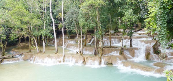 Waterfalls and elephants in luxuriant rainforest