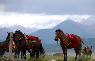 Inner Mongolian road trip
