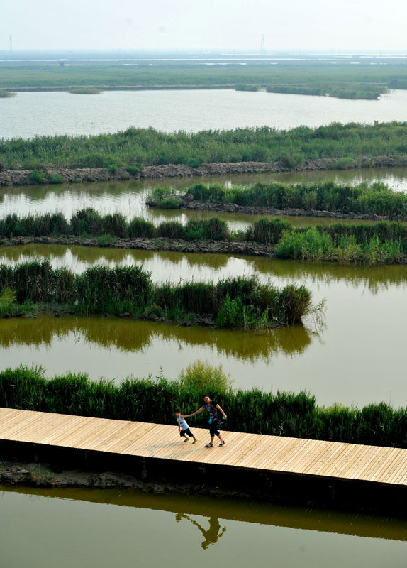 Caofeidian Wetland in Hebei province