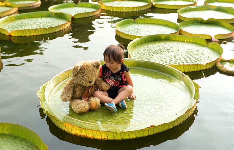 Aquatic plants exhibition attracts visitors in Taipei