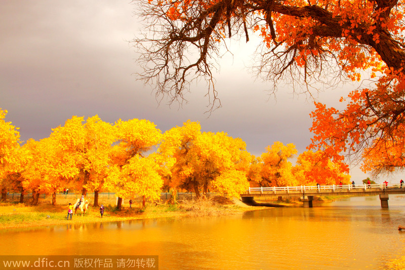 Top destinations in China for autumn photography