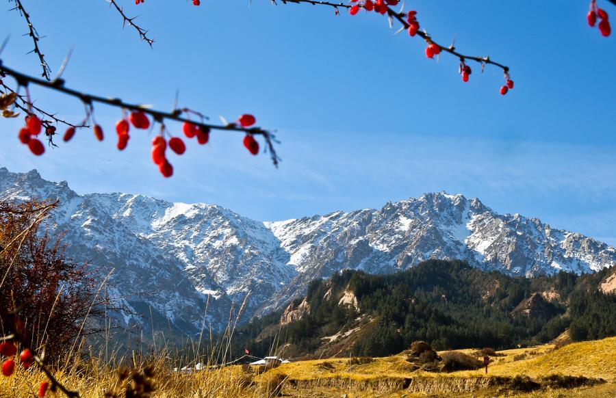 Autumn scenery in Qilian Mountains