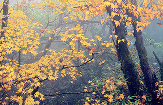 Autumn scenery in Qilian Mountains