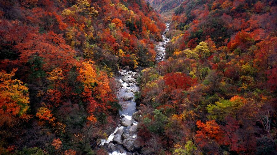 Yunwu Mountain in late autumn