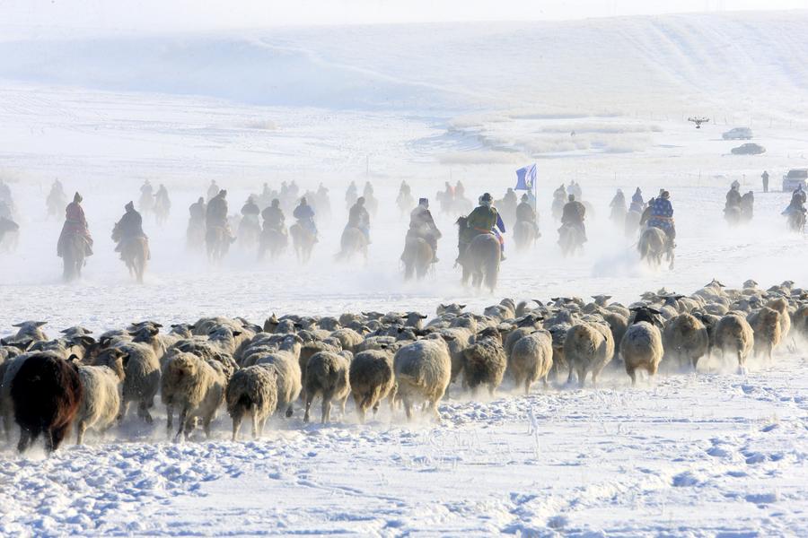 Winter Nadam kicks off in North China