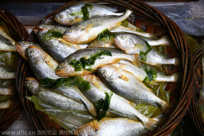 Xiamen's most famous seafood market