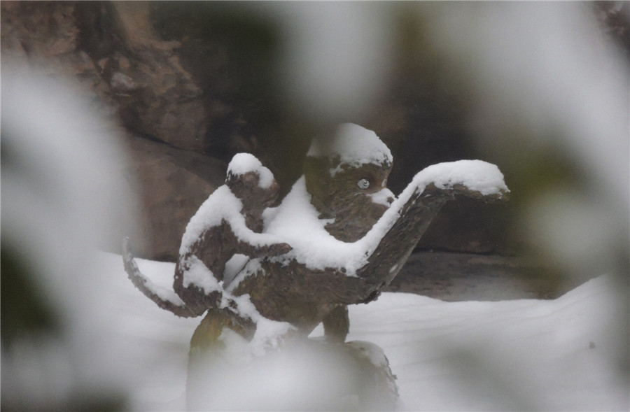 Stone monkeys enjoy snowfall
