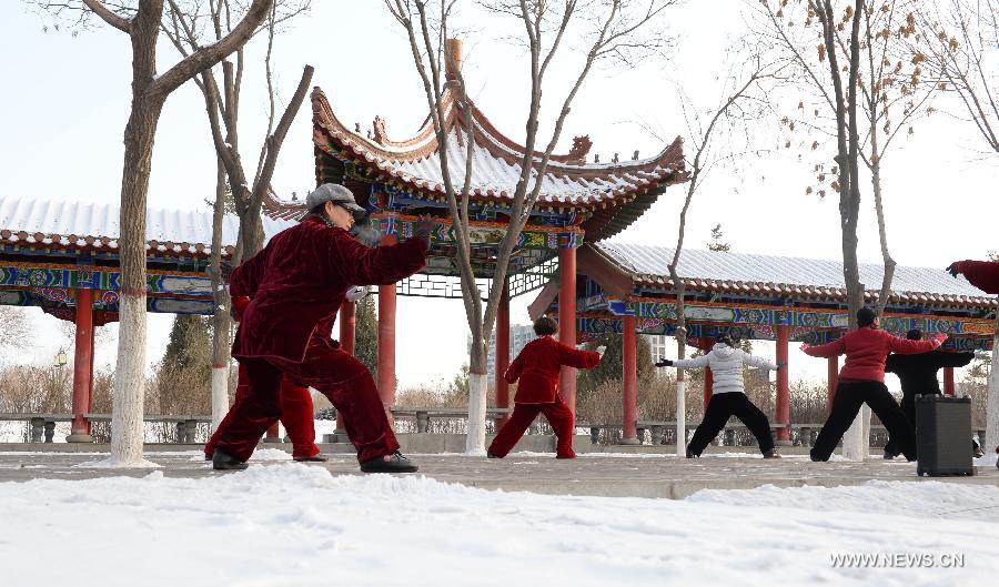 Snow scenery at Forest Park in China's Yinchuan