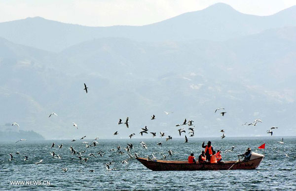 Spring approaches Erhai Lake in China's Yunnan