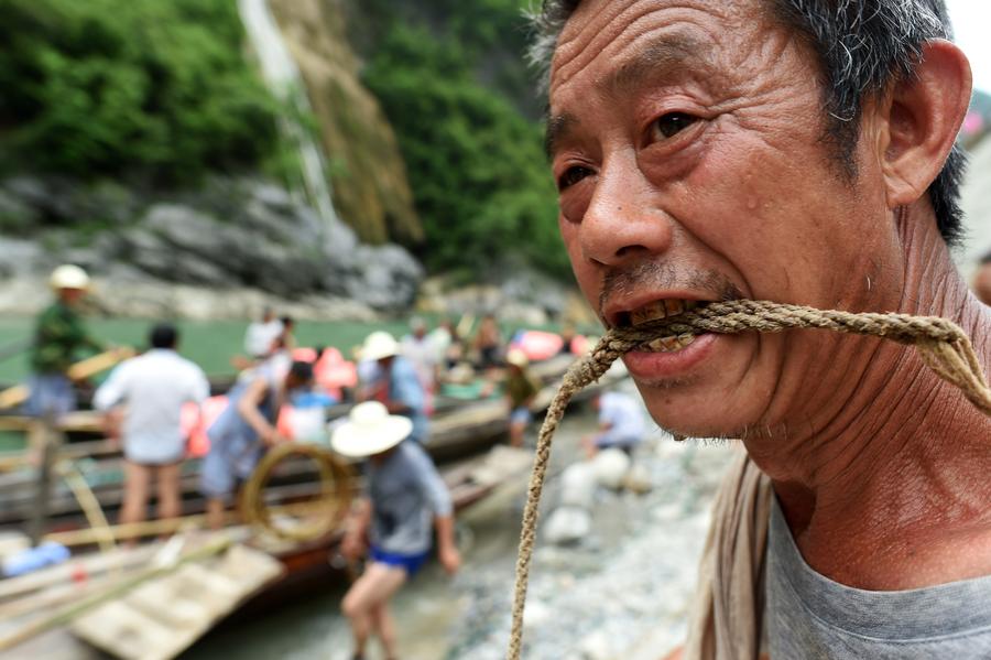Boat trackers reorganized to tow boats in Shennongxi