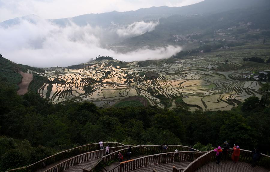 Stunning scenery of Hani rice terraces
