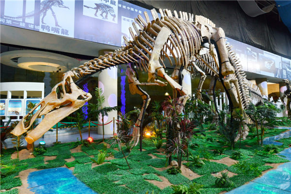 Where you can see thousands of dinosaur fossils