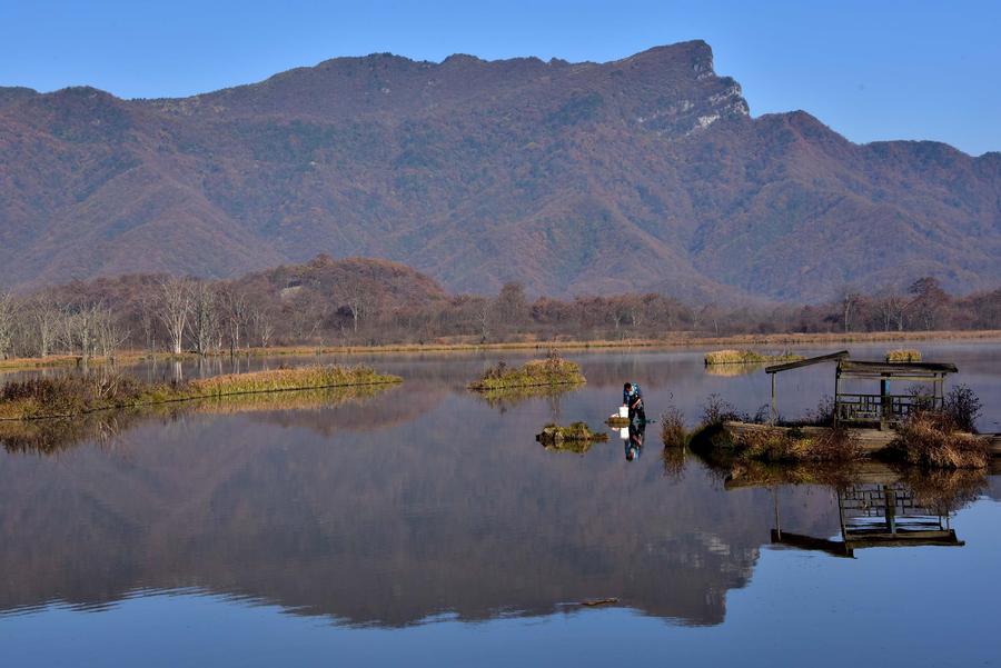Autumn scenery in Shennongjia Dajiu Lake National Wetland Park