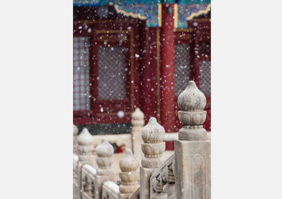 Palace Museum coated in snowfall, a poetic twist to the attraction