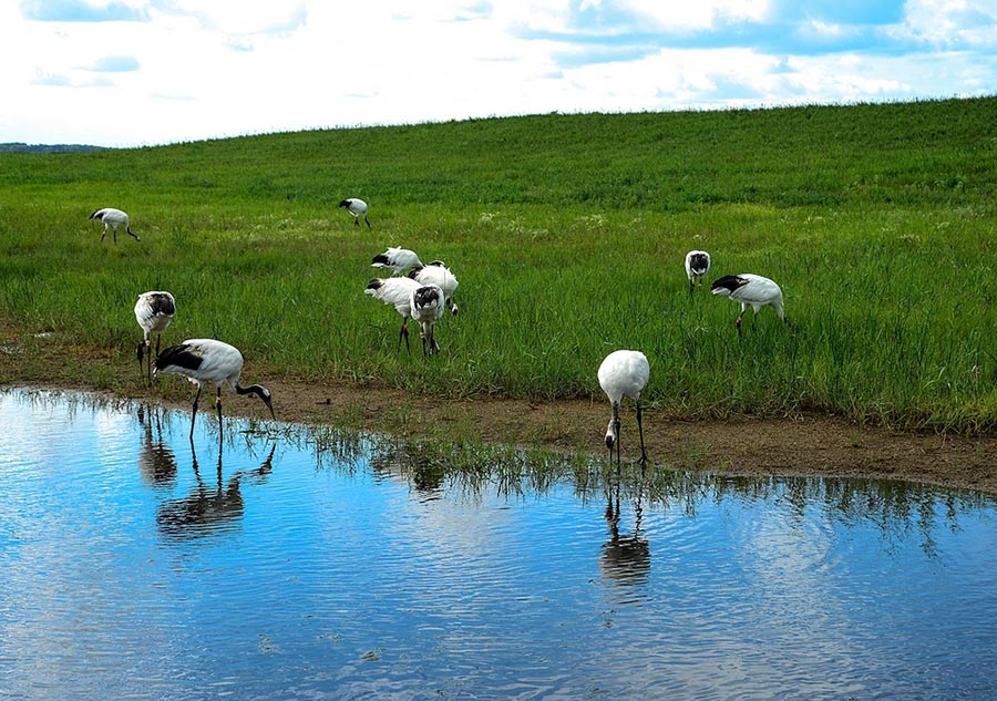 China's most beautiful wetlands