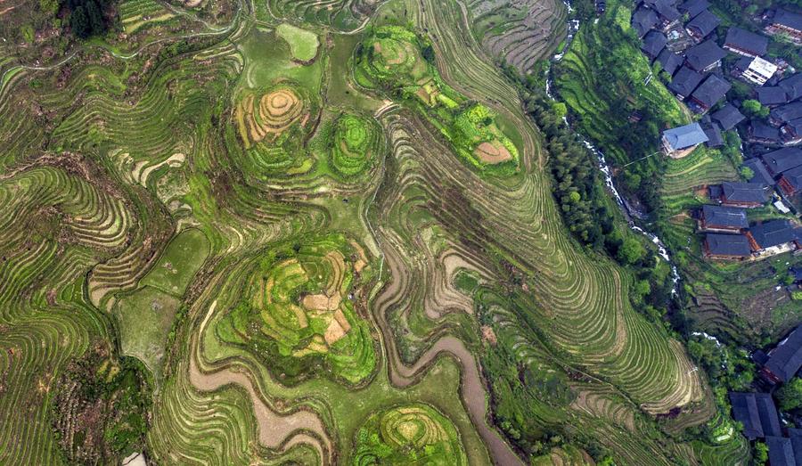 Terraced fields in S China