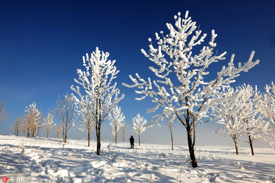 Snow village, a farm turns fairy tale world in Heilongjiang