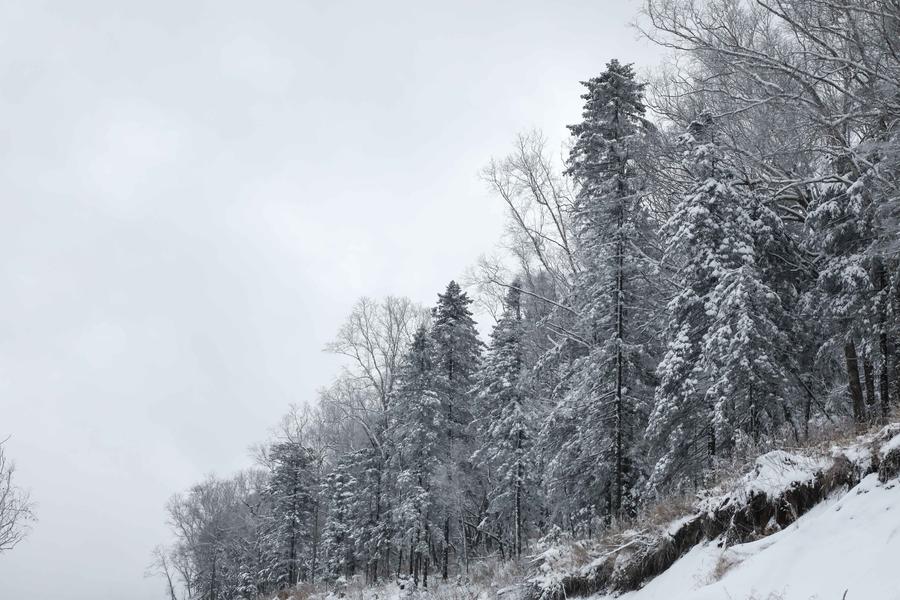 Snow scenery at forest scenic spot in NE China