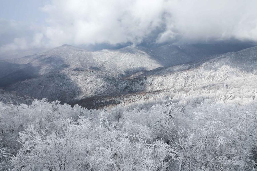 Snow scenery at forest scenic spot in NE China