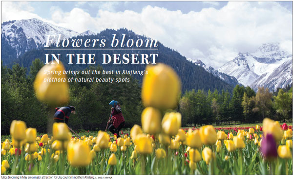 lowers bloom in the desert