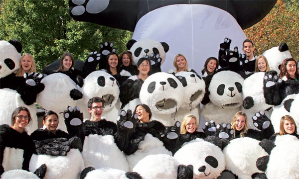 Panda lovers in US put to the test as 59,000 becomes 24