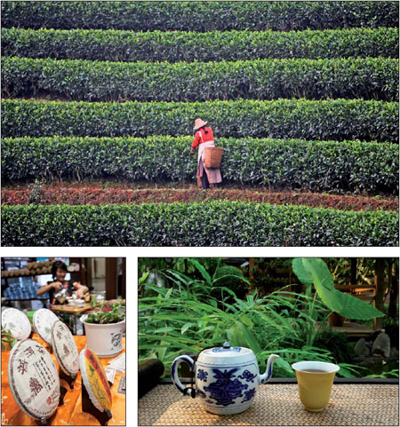 Pure pu'er is hard to beat