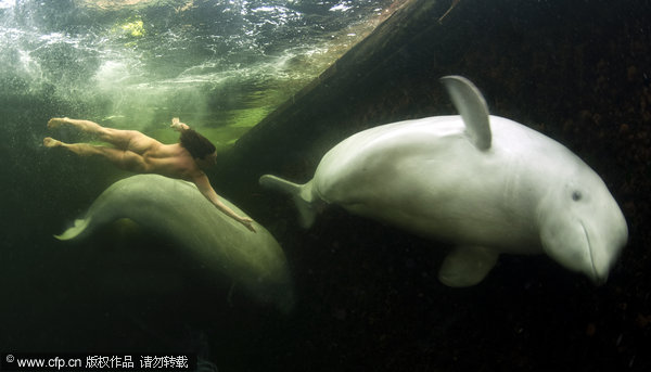 That's a fine pair of belugas