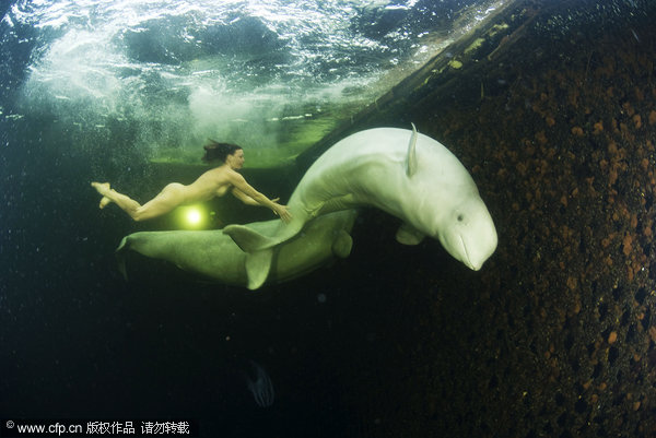 That's a fine pair of belugas