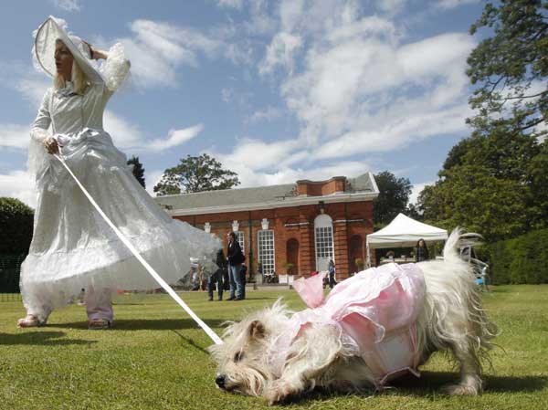 Four-legged contestants at Dashing Dog Show