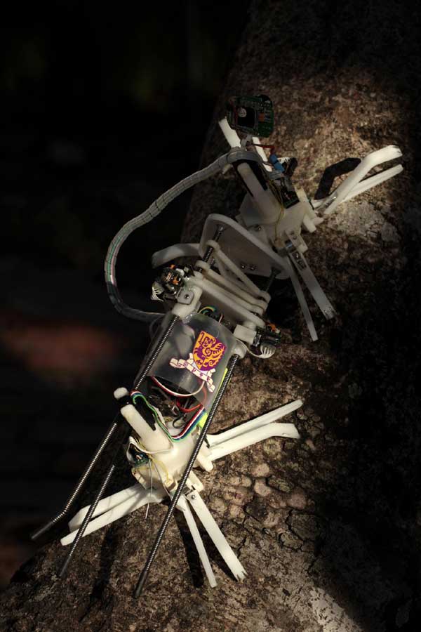 Robot capable of tree climbing