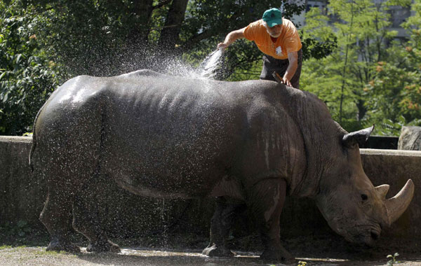 Animals cool off in heat wave