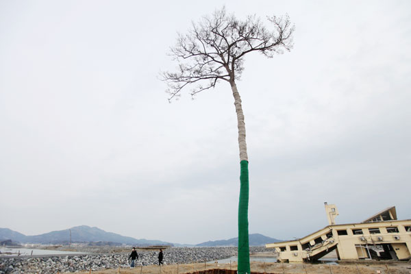 Fukushima tourism set to resume