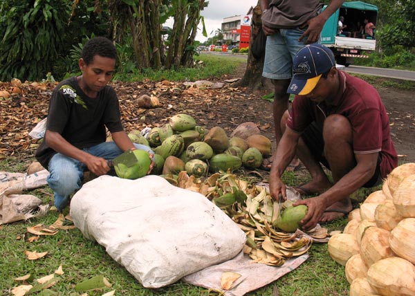 Fiji's coconut sellers dream of escaping poverty