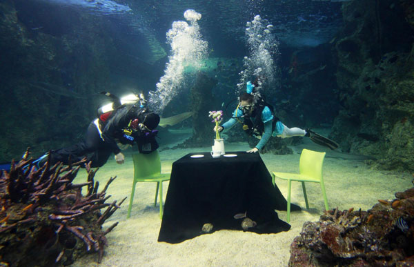 Divers enjoy 'underwater tea' in Sydney