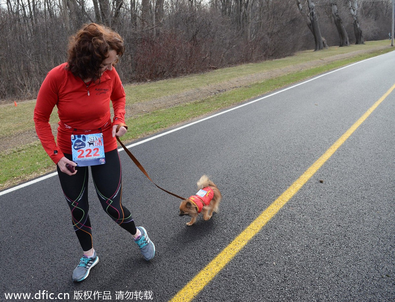 Runners and their 4-legged friends race in New York