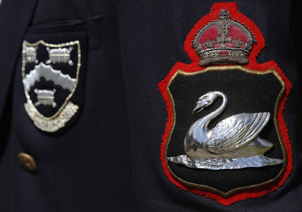 Swans meet their Royal match in annual English census