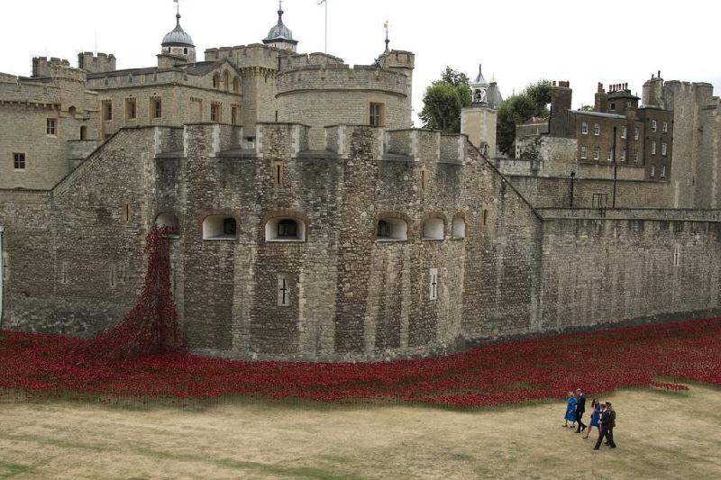 The world in photos: Aug 4-10