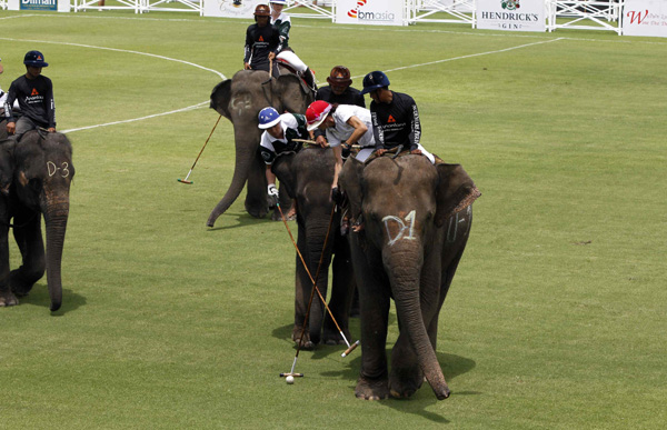 Annual elephant polo tournament kicks off in Thailand
