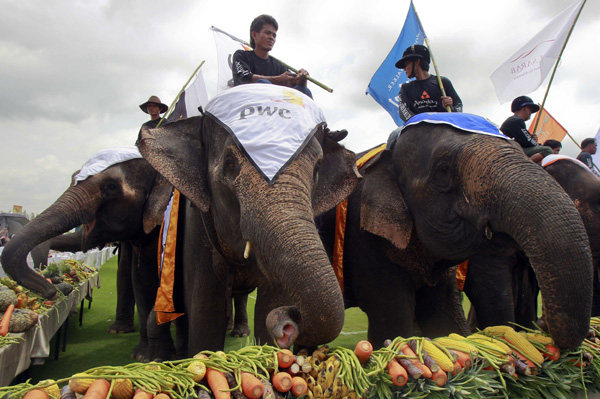 Annual elephant polo tournament kicks off in Thailand